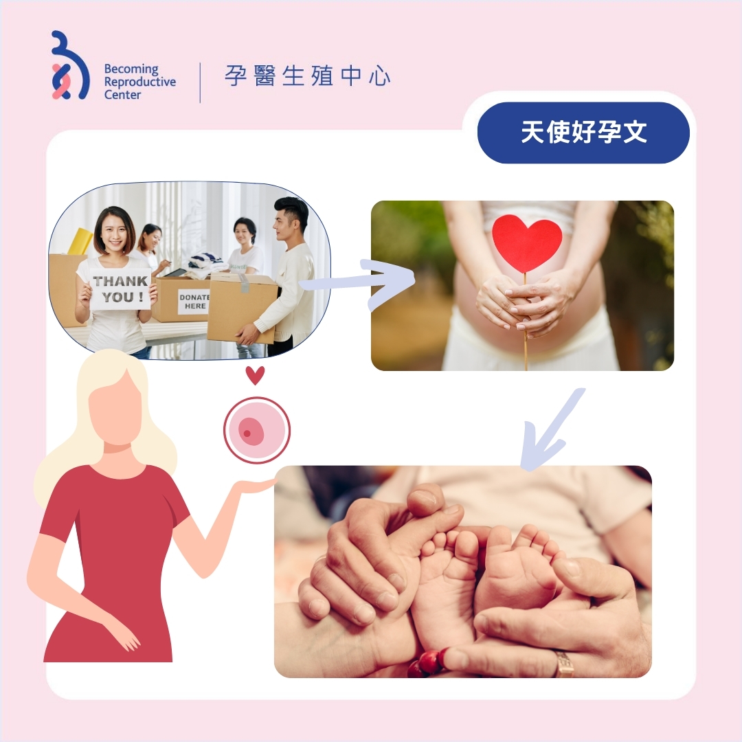 妊娠に関するシェア