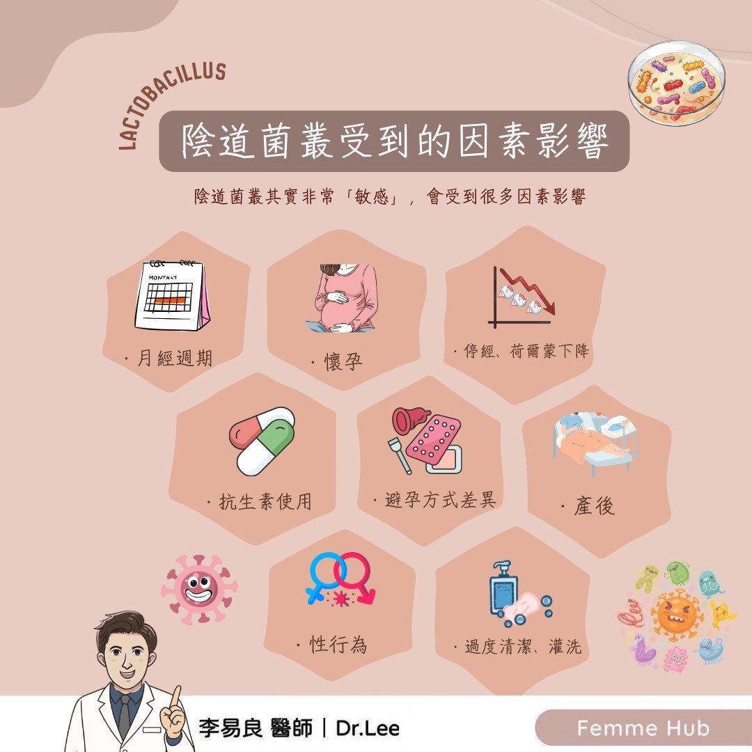 陰道也有「好菌」:為什麼乳酸桿菌這麼重要?2.jpg