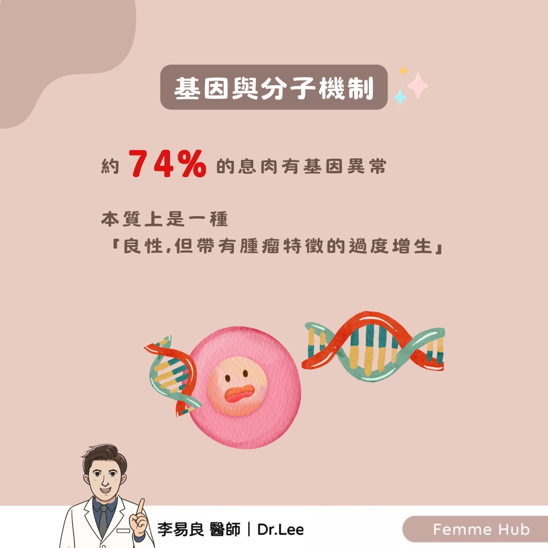 子宮內膜息肉:不只是雌激素的問題3.jpg