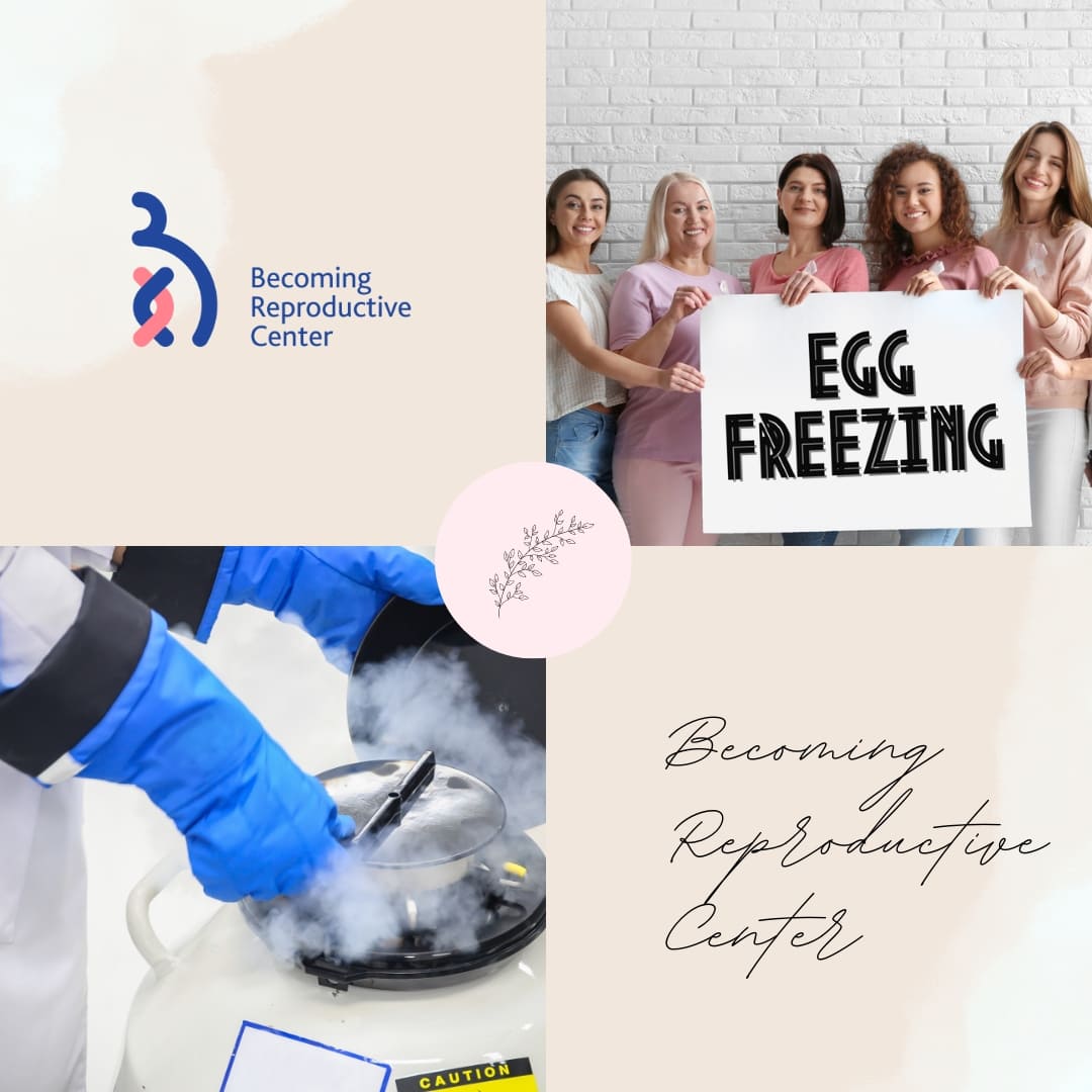 The Three “A” Factors for Successful Egg Freezing and IVF Treatment