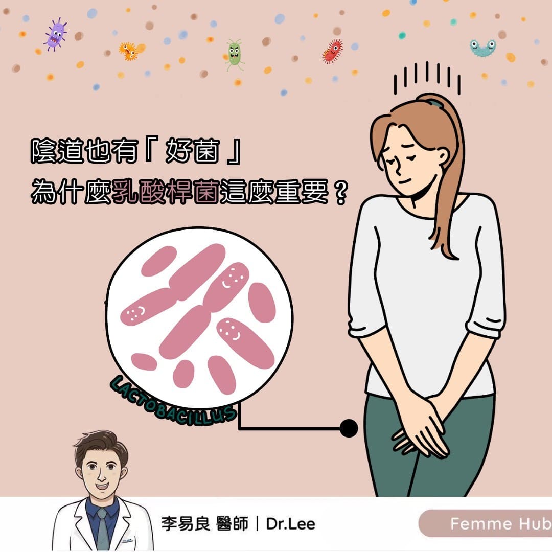 陰道菌叢失衡會帶來什麼問題?益生菌真的有用嗎?
