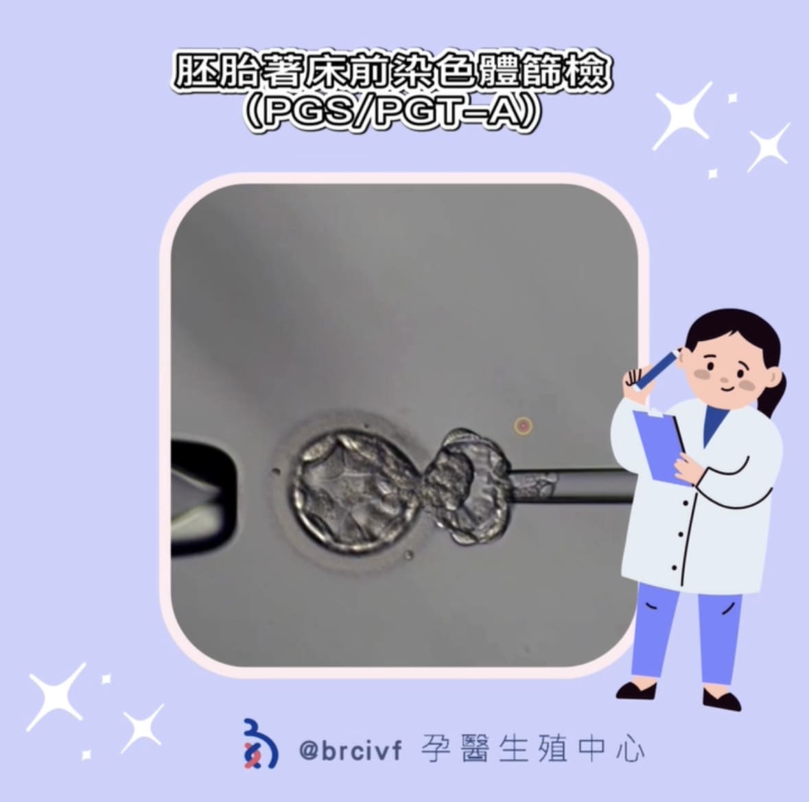 胚胎進行切片會傷害胚胎嗎?