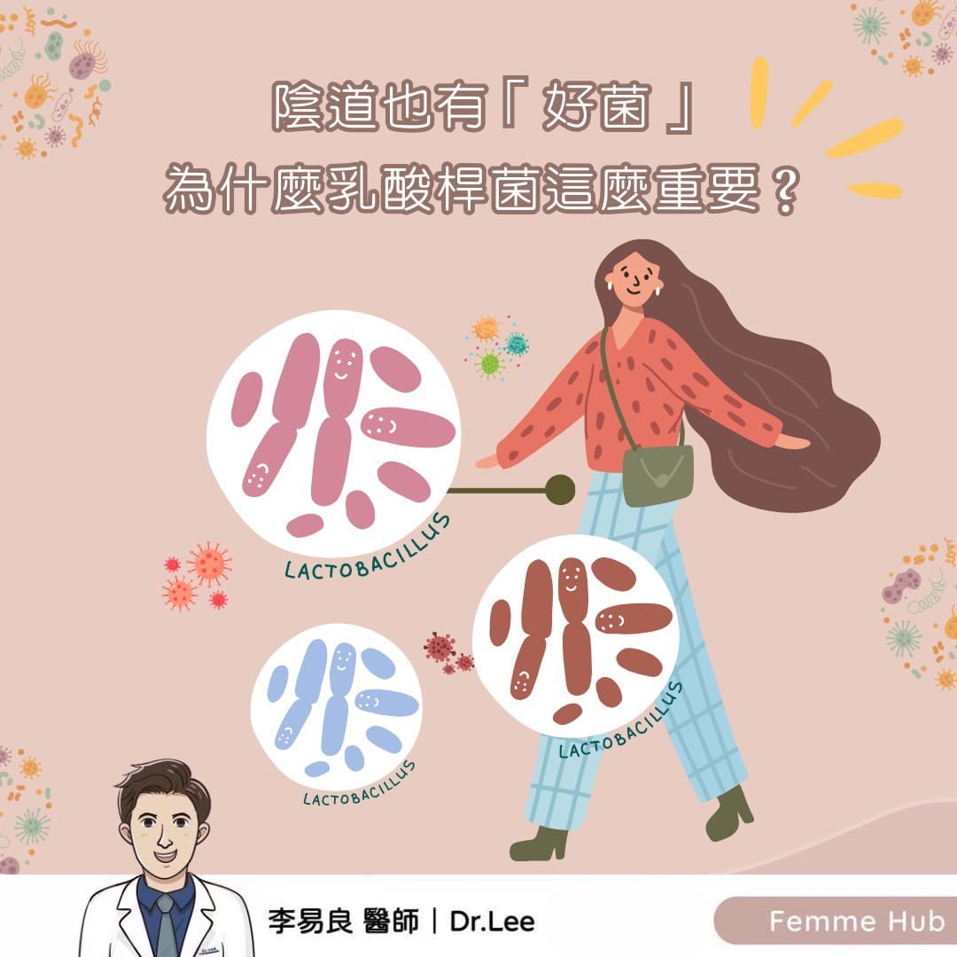 陰道也有「好菌」:為什麼乳酸桿菌這麼重要?