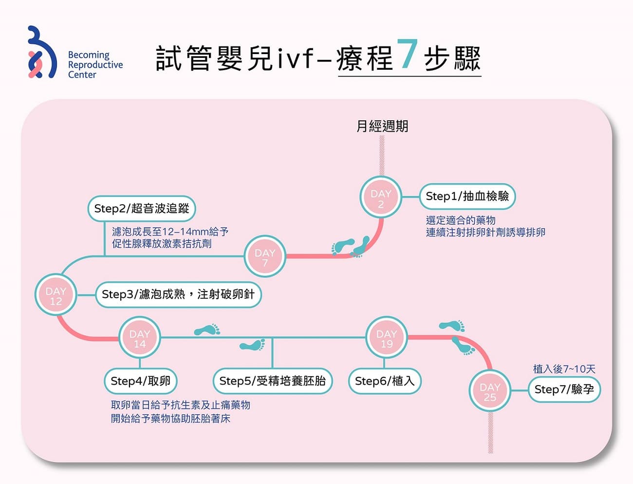 還不清楚試管嬰兒療程嗎?一張圖帶你認識試管嬰兒療程重要步驟👇🏻