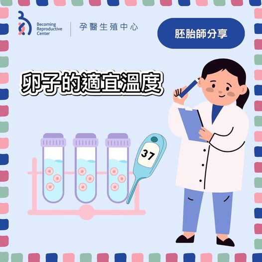 卵子的適宜溫度