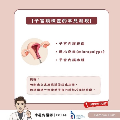 docx-import-1788487091802-3