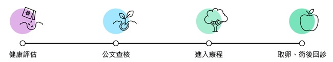 捐卵流程:健康評估、公文查核、進入療程、取卵與術後回診
