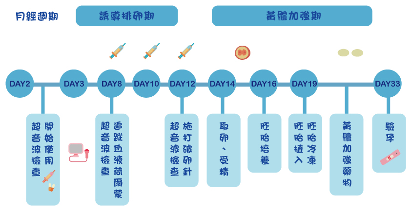 試管嬰兒療程流程