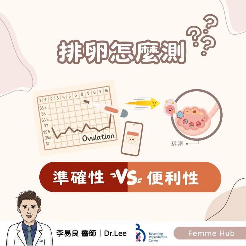 排卵怎麼測?準確性 vs 便利性⚖️